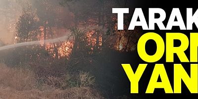 TARAKLI'DA ORMAN YANGINI