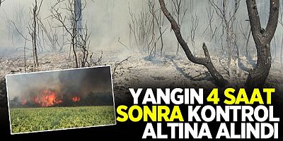 Taraklı'daki yangın kontrol altına alındı