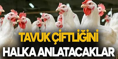 Tavuk çiftliğini halka anlatacaklar