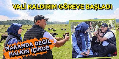 Vali Kaldırım göreve başladı