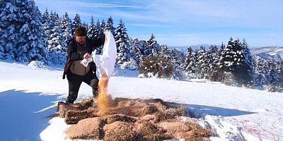 doğa