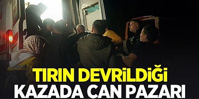 Yanan ağaçları taşıyan tır devrildi: 3 yaralı