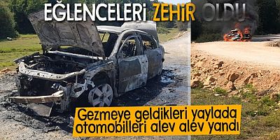 Yaylada otomobil alevlere teslim oldu