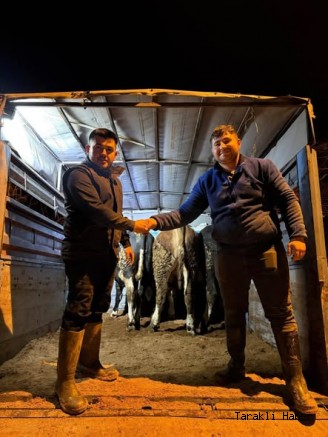 Taraklı’da Kurban Hareketliliği Başladı
