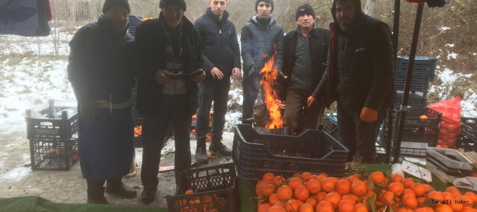 Taraklı Halk Pazarı’nda Soğuk Hava Etkisi:Esnaf Ateş Yakıp Isındı