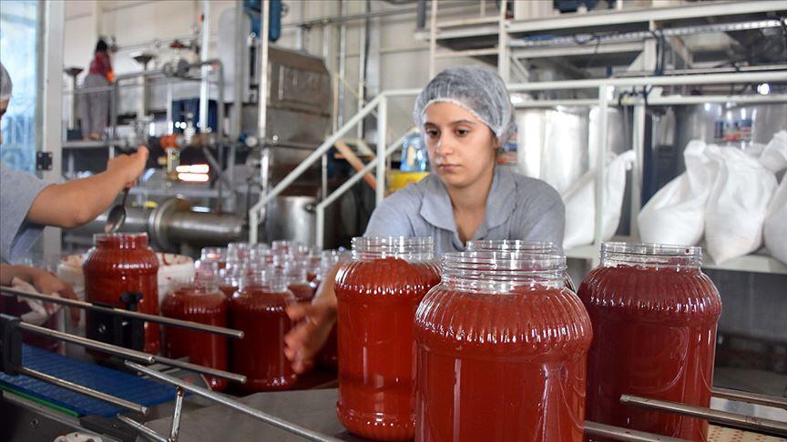 Türkiye'nin salça ihracatı, salgında arttı