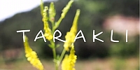 Taraklı Gezisi // Pınar Biber